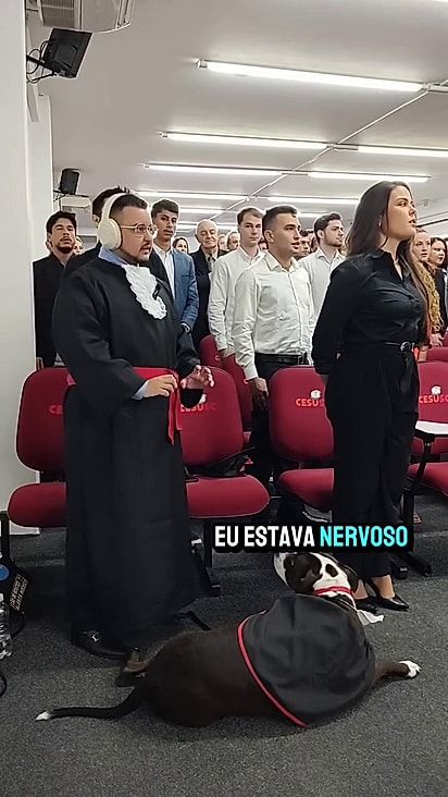 O tutor tranquilizou o animal.
