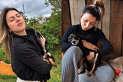 Ela gritava colo, agora pede carinho na barriga: Transformação de cachorrinha traumatizada emociona protetora