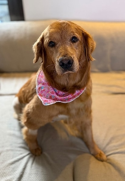 Hoje, Mocca conhece o amor.