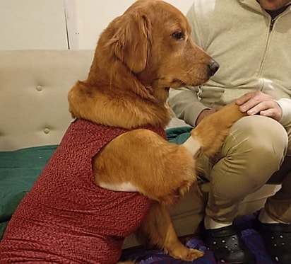 Mocca tem recebido todo o amor e cuidado para se recuperar e deixar o passado para trás.