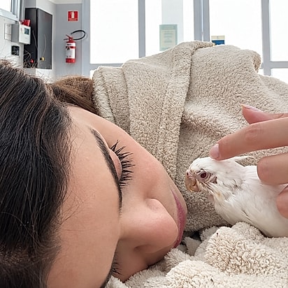 A médica-veterinária cuidou da calopsita até ela melhorar.