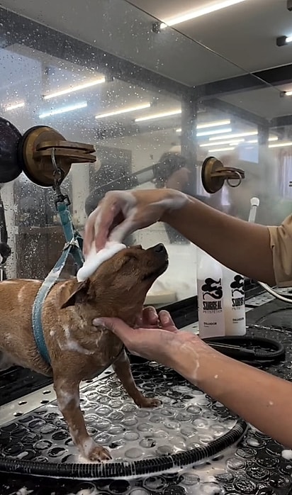 Durante o banho, a pequena ficou calma do começo ao fim.