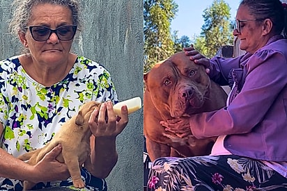 O que tem nessa mamadeira: senhora viraliza ao mostrar como ficou o bebezinho que ela alimentava na mamadeira