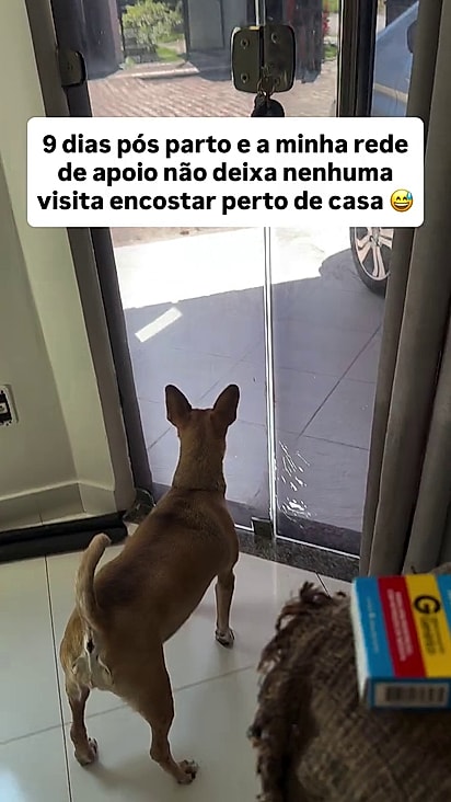 Ela está firma na supervisão do portão.