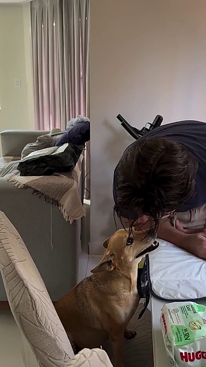 Nina tem um novo ser humano para oferecer lealdade.