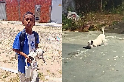 Ela tava jogada no meio do sol quente: Menino de bom coração chega com cachorrinho no colo e faz pedido para mãe