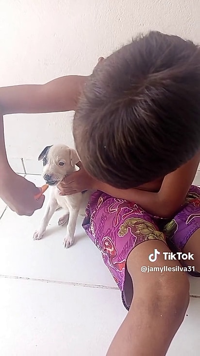 A cachorrinha recebeu vermífugo.