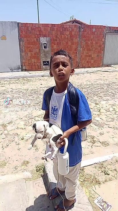 Ela estava amarrada no sol.