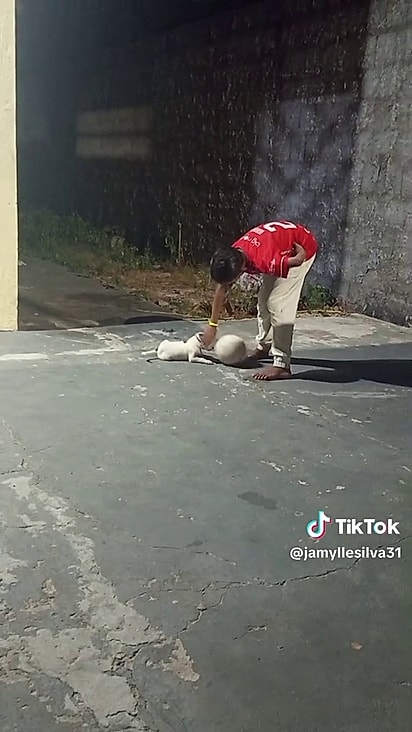 Ela foi adotada pela família.