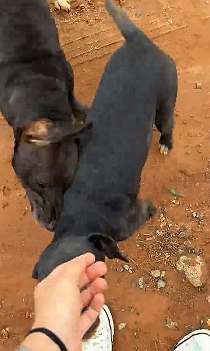 Mãe e filho começaram a seguir Letícia depois de receberem ajuda.