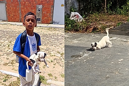 Ela tava jogada no meio do sol quente: Menino de bom coração chega com cachorrinho no colo e faz pedido para mãe
