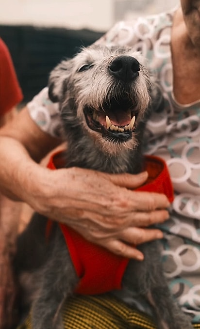 Edna ama demais a sua cachorrinha.