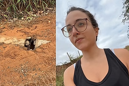 “Eu ouvi o buraco latir para mim”: veterinária sai para correr sem imaginar que seria adotada no meio do caminho