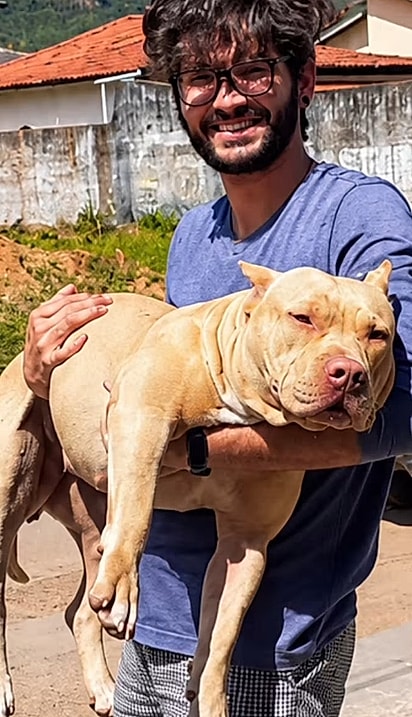 A cachorrinha, à vontade no colo de Eudes.