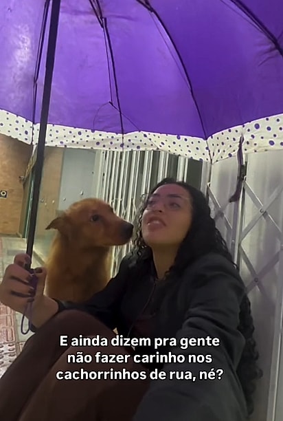 Sentada no chão, a estudante dividiu o guarda-chuva com o cãozinho por alguns minutos.