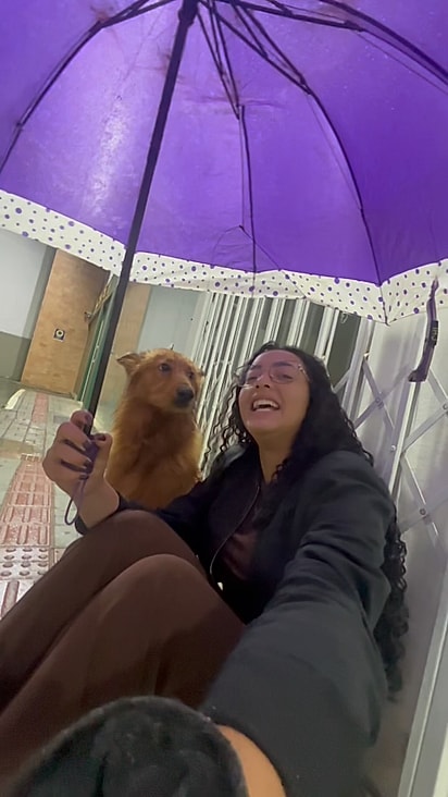 Mesmo sem poder levá-lo para casa, Vitoria tentou encontrar ajuda e um lar temporário para o cachorro.