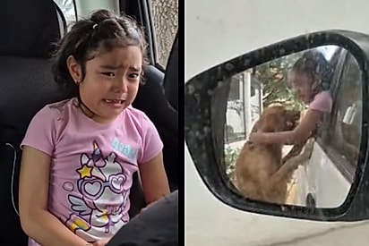 ‘Duas almas destinadas a se encontrar’: menina que sempre chorava pedindo para adotar a cachorrinha Canela é surpreendida por ‘adoção forçada’.