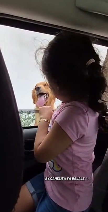 Sofia fazendo carinho em Canela.
