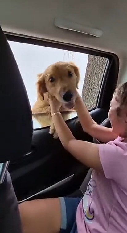 Sem esperar convite, a cachorrinha pulou pela janela do carro e praticamente decidiu a própria adoção.