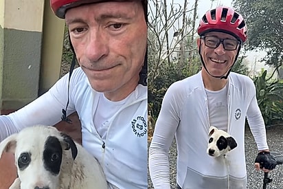 “O que eu faço com isso aqui?”: Ciclista para para ajustar sapatilha e encontra filhote abandonado