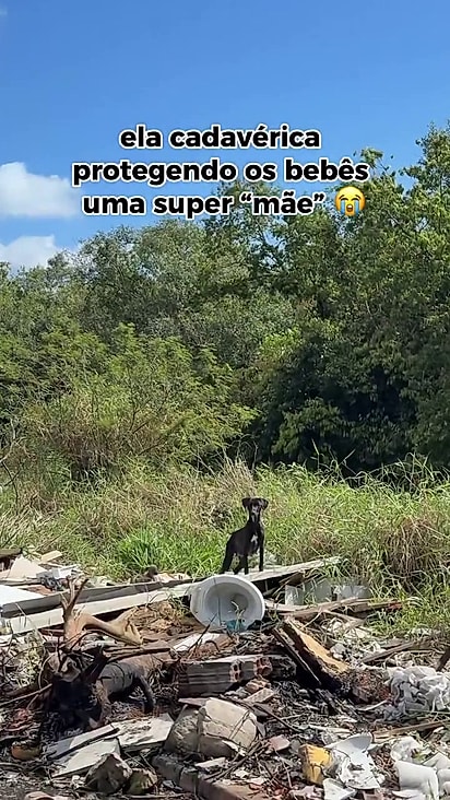 A familia foi encontrada em um lixão.