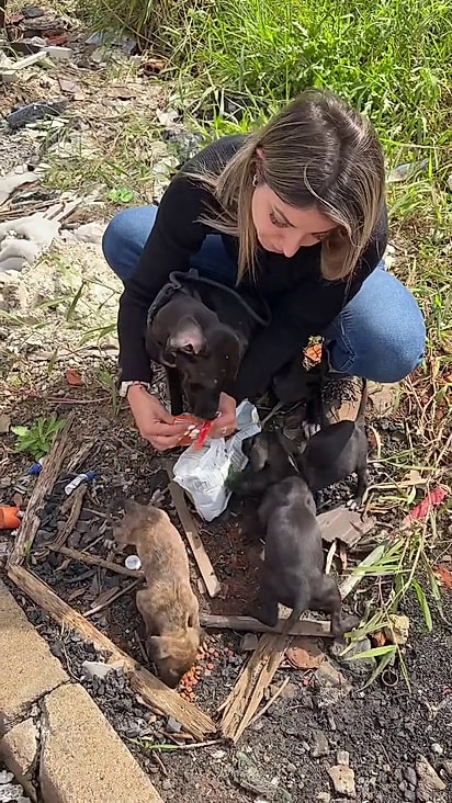 A protetora ofereceu alimento de imediato.
