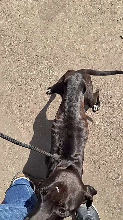 A mãezinha estava extremamente magra.