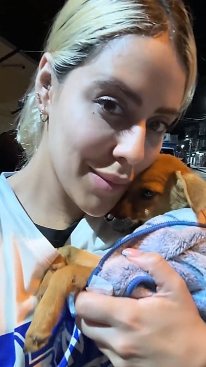 A cachorrinha, segura e tranquila nos braços da veterinária.