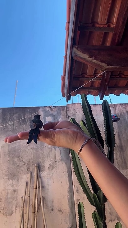 Ele estava cansado de voar em um espaço pequeno.