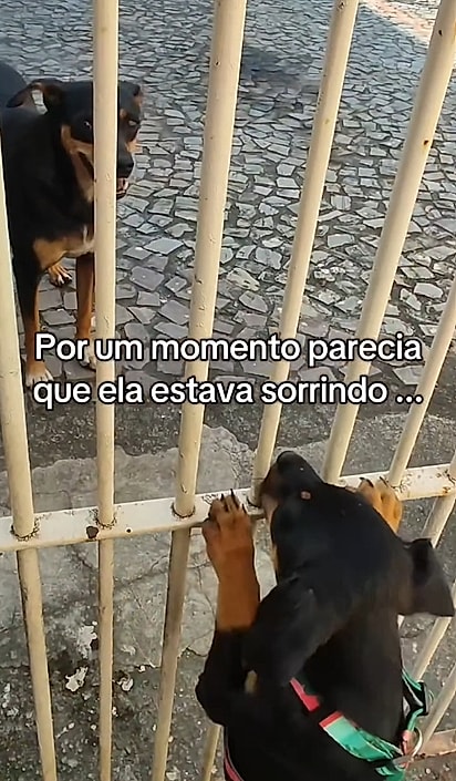 A mãezinha foi atrás da filhote e conseguiu encontrá-la.