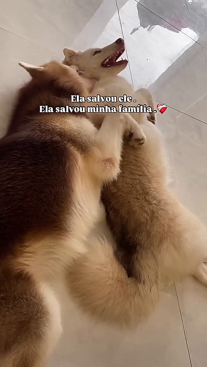 A filha Malu é cria de Apolo com Duquesa que partiu.