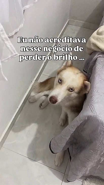 Apolo amava a companhia de Duquesa.