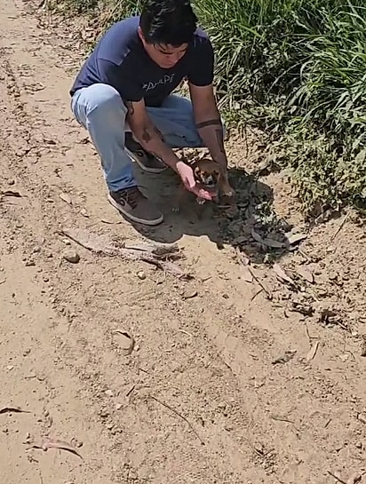 Um filhotinho apareceu próximo ao local.