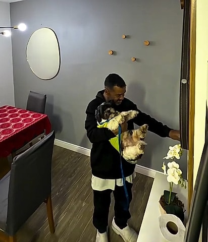 Ao sair de casa com o cachorro, o rapaz deixou muita gente curiosa sobre o que aconteceria em seguida.