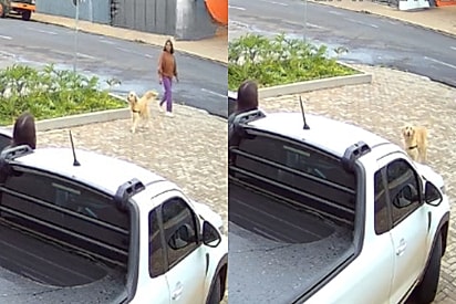 Golden entra no carro de desconhecidos e muda a própria história: “Ela escolheu a gente”.