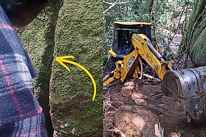 “Estamos em uma empreitada grande aqui”: Trabalhadores fazem de tudo para alcançar animal que pedia ajuda entre rochas.