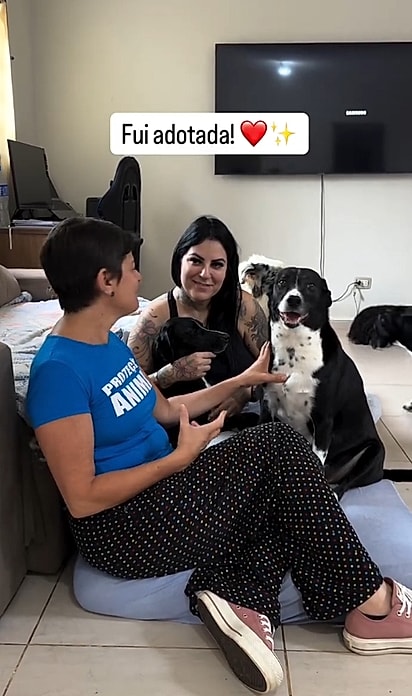 Meses depois, a espera terminou: Lily foi adotada e passou a ser tratada como a princesa da casa.