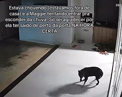 Segundos depois de Maggie se afastar, o vidro se estilhaçou e espalhou pedaços pelo chão.