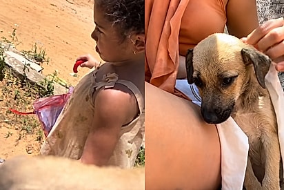 Coloca o nome de Moranga: ida à feira termina com cadela adotada e filha indignada por não levar coelho também