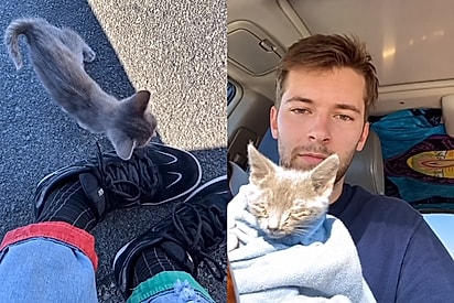 Viajante não sabia, mas filhotinha de olhos fechados que subiu na sua perna seria o amor da sua vida