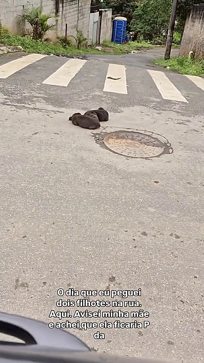 Eles estavam dormindo juntos no meio da rua.