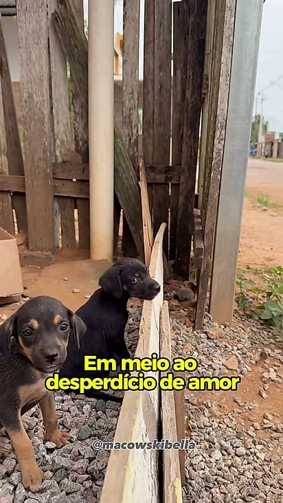 Toda a família foi resgatada.