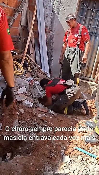 Quatro bombeiros participaram da operação e avançaram com cuidado pela tubulação para localizar o filhote.
