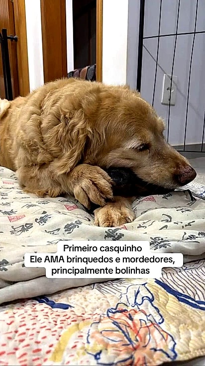 Acredita-se que ele tenha sido abandonado.
