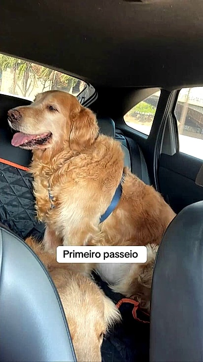 Bartholomeu foi adotado pelo casal que o acolheu.