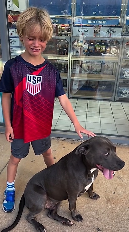 Reese chorou só de imaginar que o pitbull pudesse ter sido abandonado.