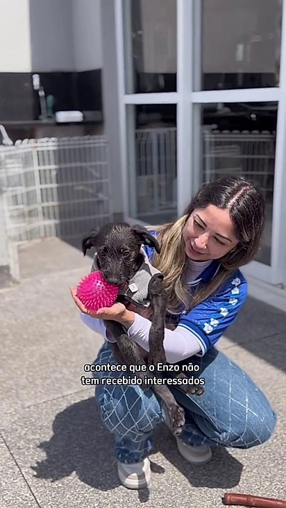 O cão está aprendendo agora o que é ser cachorro.