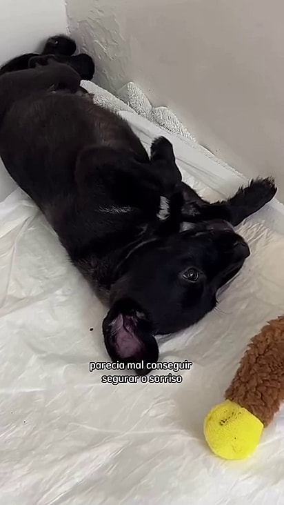 Enzo passou muito tempo internado.