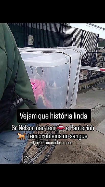 Panterinha estava saindo da consulta.