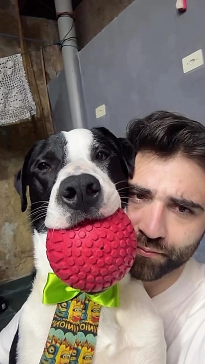 Nico é um cachorro muito amoroso.